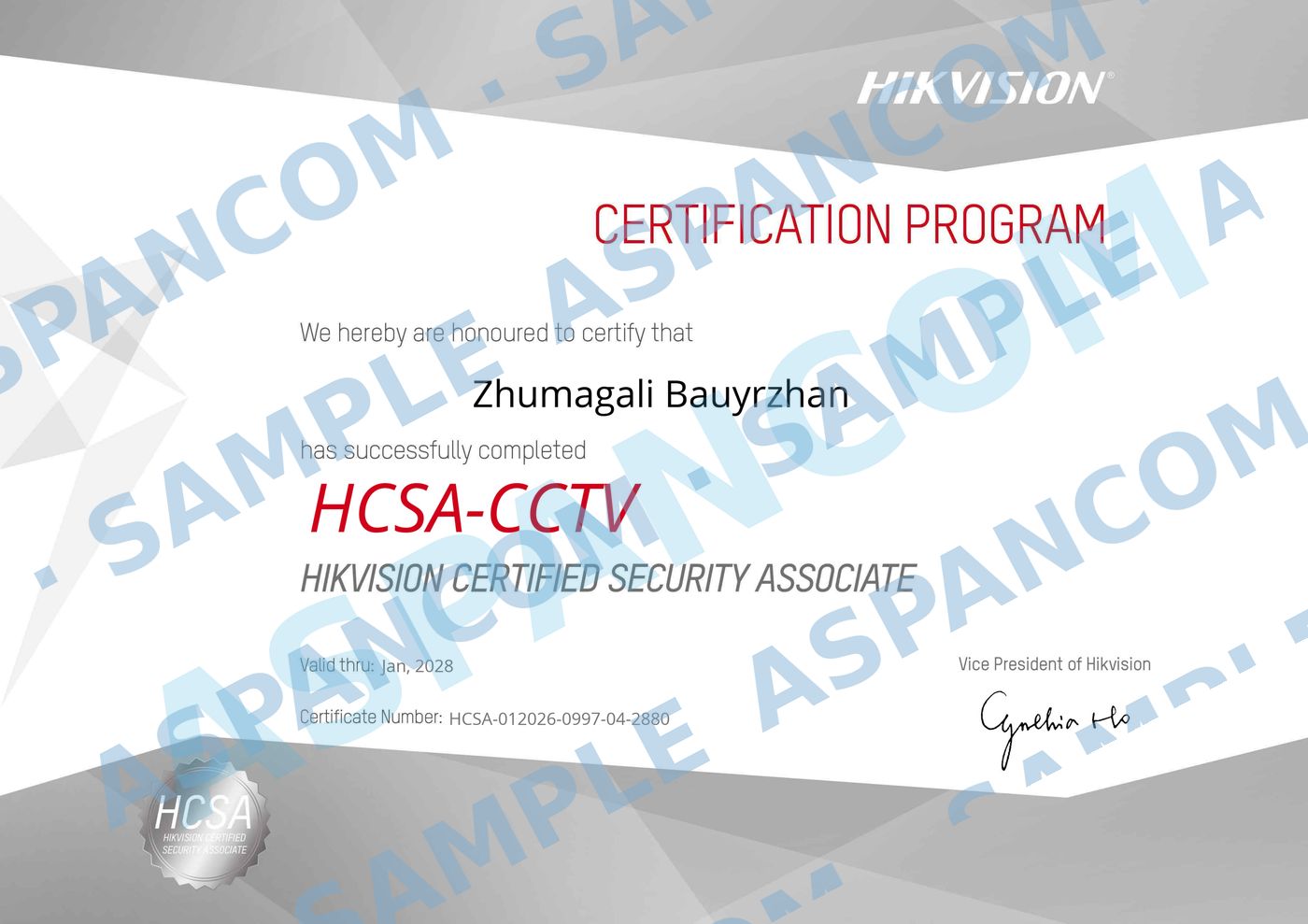 HCSA-CCTV Hikvision